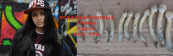 марихуана Новозыбков