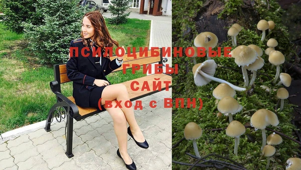 скорость Арсеньев