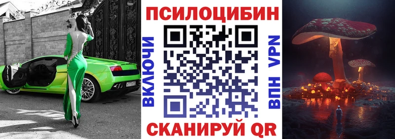 Псилоцибиновые грибы прущие грибы  продажа наркотиков  Сокол 